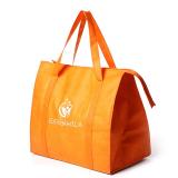 Non Woven Cooler Bag