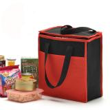 Non Woven Cooler Bag