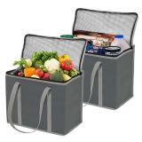 Non Woven Cooler Bag